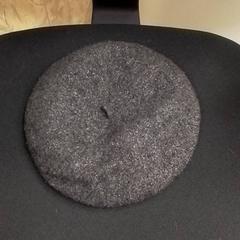 Beanie, ako bolo nahlásené ilévia pomocou iLost