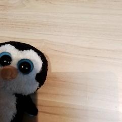 كنوفل، كما تم الإبلاغ عنه بواسطة Beekse Bergen Resorts en Hotel عبر iLost