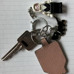 Huissleutel, jak bylo nahlášeno na iLost