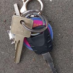 Chaveiro, segundo informou Arriva West-Brabant usando iLost