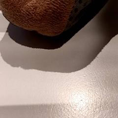 Zapato, segundo informou De Efteling usando iLost