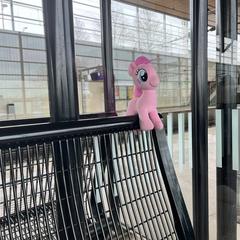 Roze pony knuffel, iLost에 보고됨