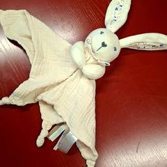 Kuddiga slag Lapin, rapporterat av IKEA Nice Saint Isidore med iLost