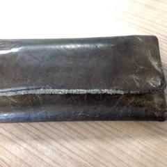 Shagbaal, segons ha informat Connexxion Haarlem AML mitjançant iLost