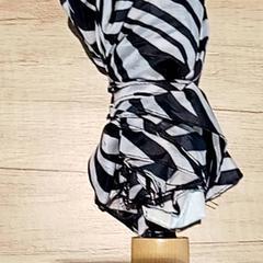 Aterkia, gisa salatu by Regio Antwerpen - Brussel iLost erabiliz