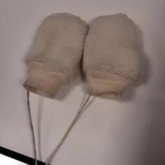 القفازات، كما تم الإبلاغ عنه بواسطة Diergaarde Blijdorp عبر iLost