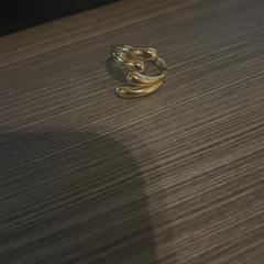 Gyűrű, amint azt Van der Valk Hotel Haarlem az iLost segítségével jelentette.