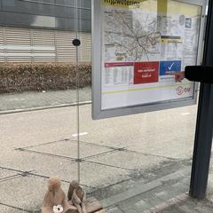 Knuffel, ha sido reportado a iLost