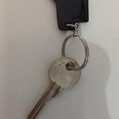 Key, as reported by allGo Almere using iLost