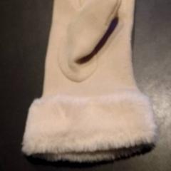 Handschoen Beige, zoals gemeld door TivoliVredenburg met iLost