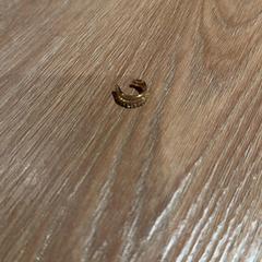 Füldugó, amint azt Van der Valk Hotel Eindhoven - Best az iLost segítségével jelentette.