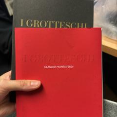 서적, iLost를 사용하여 The Dominican에 보고됨