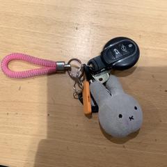 Nøkkelring met sleutelhangers, som rapportert av Gemeente Gooise Meren ved bruk av iLost