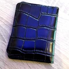 지갑(하위 카테고리) Yinglian, iLost를 사용하여 EBS Tramplein에 보고됨