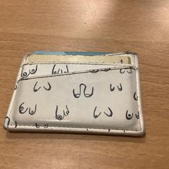 Pashouder Marckelbach, segundo informou Gemeente Amsterdam usando iLost