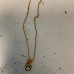 Necklace, as reported by Artis using iLost