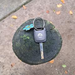 Autosleutel met hanger Alzheimer Nederland, ha sido reportado a iLost