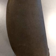 Brillendoos, zgłoszono przez Centraal magazijn przy użyciu iLost