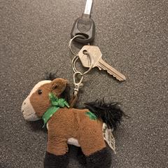 Sleutels, gerapporteerd met iLost