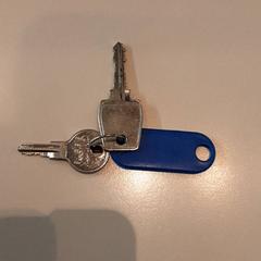 Clés, a été signalé par LUMC utilisant iLost