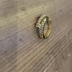 반지, iLost를 사용하여 Pathé Arnhem에 보고됨