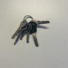 Sleutelbos, como reportado por Solid Grooves Festival utilizando o iLost