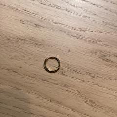 القرط Goud، كما تم الإبلاغ عنه بواسطة Poppodium 013 عبر iLost