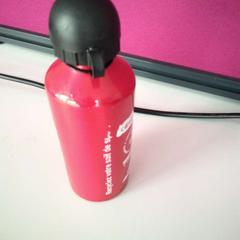 Gourde, a été signalé par Twisto utilisant iLost