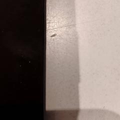 Klíče od auta, jak nahlášeno De Efteling pomocí iLost