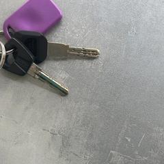 Keys, as reported by RRReis Arriva Achterhoek-Rivierenland using iLost