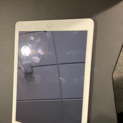 Ipada wit, zgłoszono przez Gemeente Ermelo przy użyciu iLost