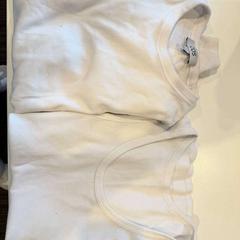 Skjorta T-sh, rapporterat av Inntel Hotels Utrecht Centre med iLost