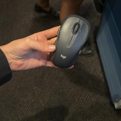 Myš, jak nahlášeno Van der Valk Hotel Utrecht pomocí iLost