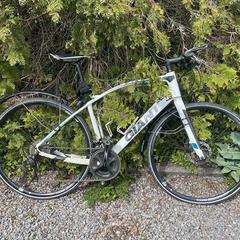 Giant herenfiets / racefiets (wit), som rapporterats till iLost