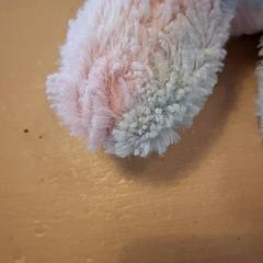 Knuffel, como reportado por Avonturenboerderij Molenwaard utilizando o iLost