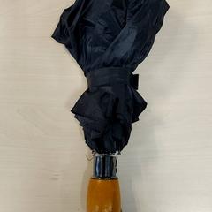 Paraugas Zwart, segundo informou Centraal magazijn usando iLost