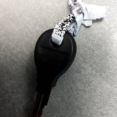 Key Zwart, as reported by Arriva Friesland / Groningen using iLost