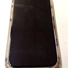 Mobile phone iPhone, as reported by GVB using iLost