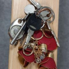 Sleutelbos, zoals gemeld door Arriva West-Brabant met iLost