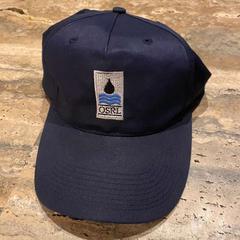 Casquette, as reported by Van der Valk Spier-Dwingeloo using iLost