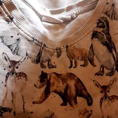 İLost kullanarak DierenPark Amersfoort tarafından bildirildiği gibi Jumper