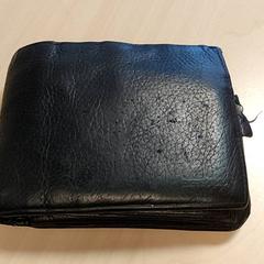 Portafoglio Van Den Bossche, come riportato da Centraal magazijn utilizzando iLost