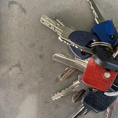 Sleutelbos, ha sido reportado a iLost