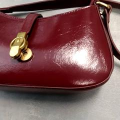 가방 Wijn rood, iLost를 사용하여 Arriva Friesland / Groningen에 보고됨