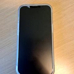 Iphone, segons ha informat Keukenhof mitjançant iLost