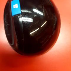 Ratolí, segons ha informat UvA REC mitjançant iLost