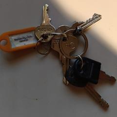 sleutelbos label normunds vitols services a été signalé sur iLost