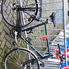 Cykel Groen, rapporterat av Stadswerk072 med iLost