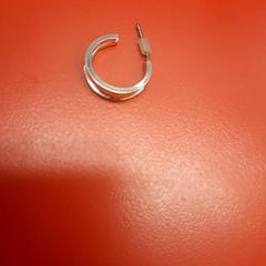 Ørering, som rapportert av UvA REC ved bruk av iLost