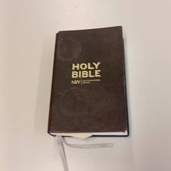 Livro, como reportado por Regio Antwerpen - Brussel utilizando o iLost